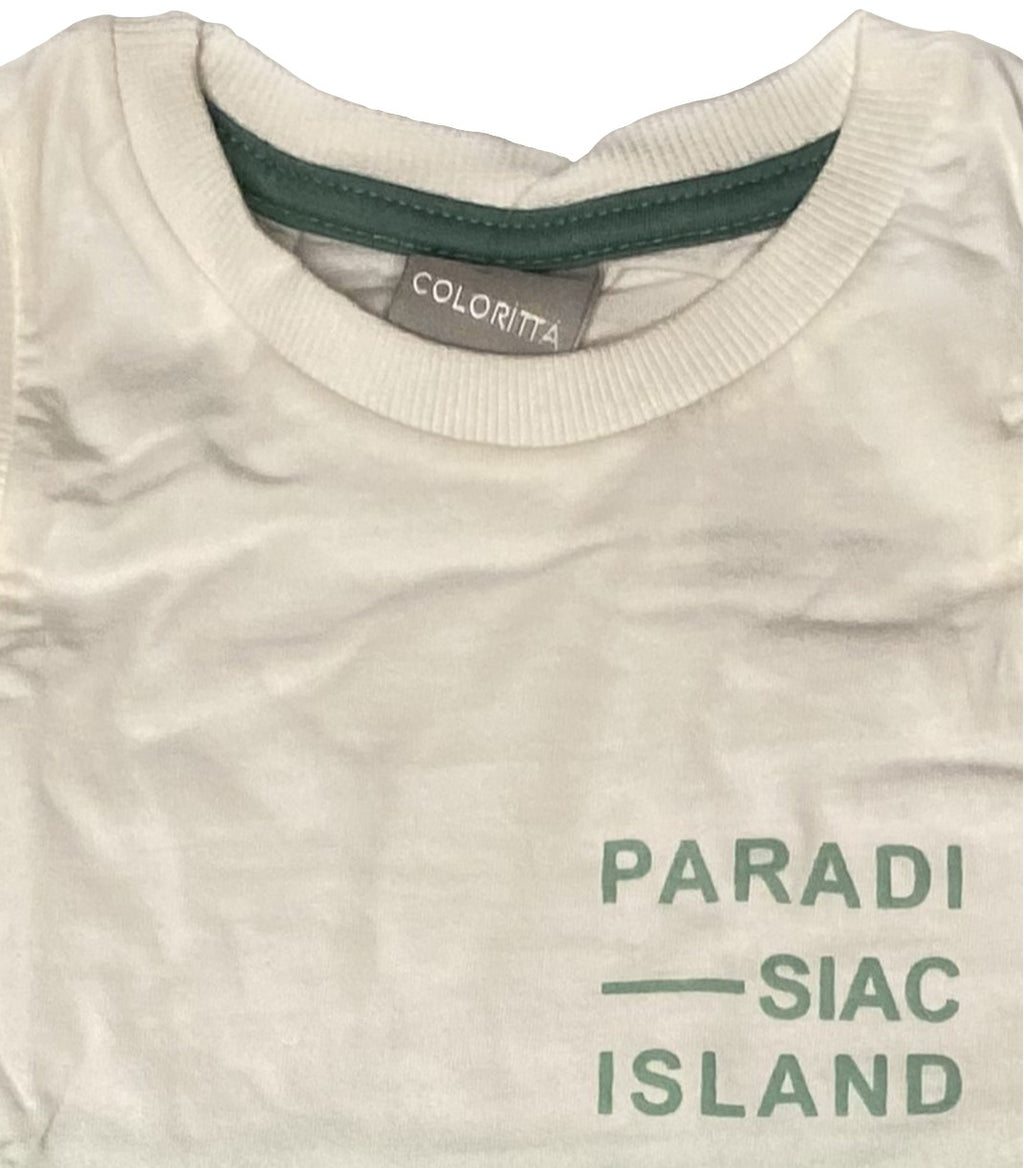 Conjunto Infantil Menino Estampa Coqueiro Colorita