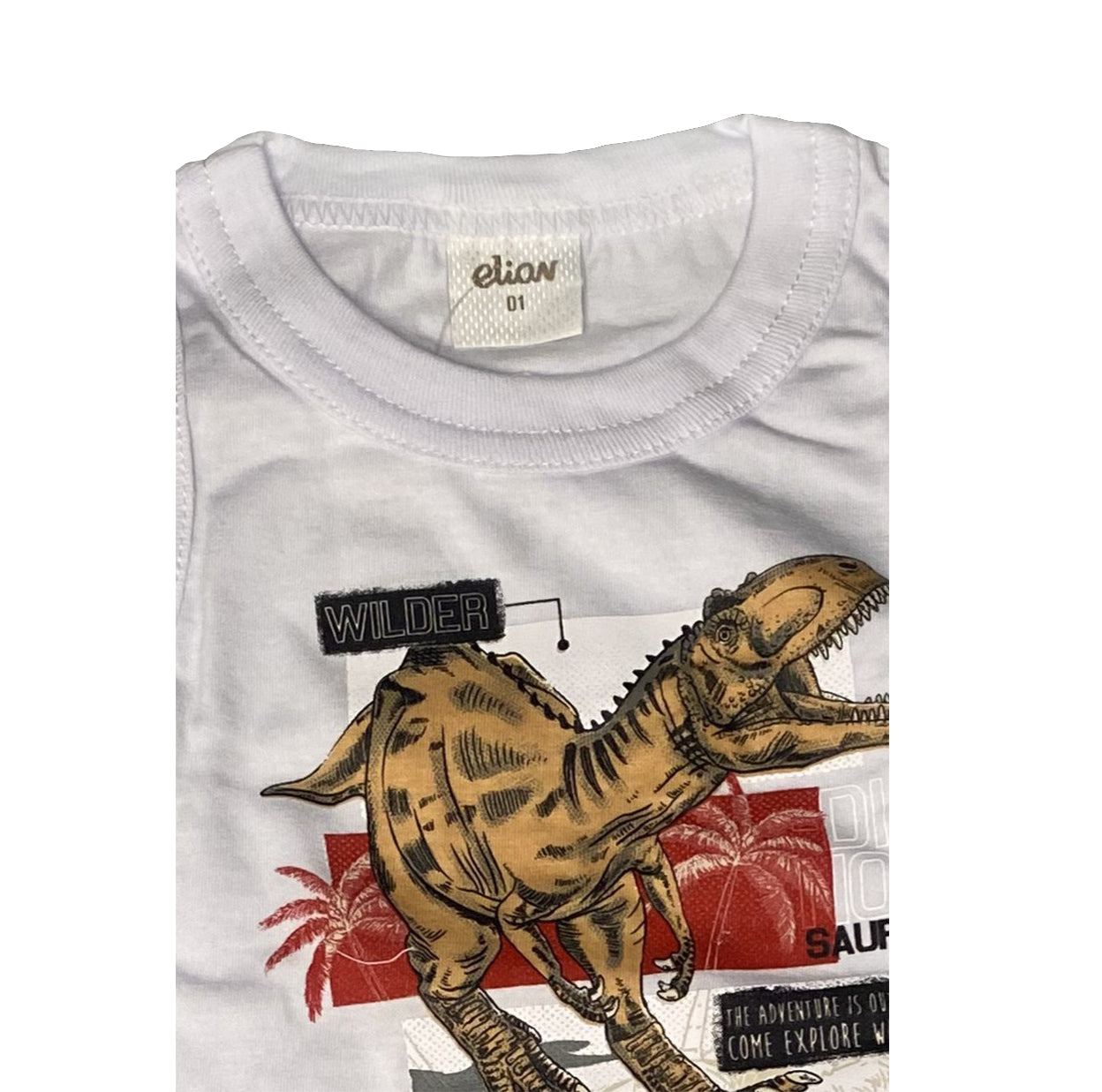 Conjunto Infantil Menino Com Regata e Bermuda Tropical Elian